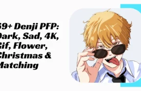 Denji PFP