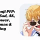 Denji PFP