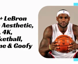 LeBron PFP