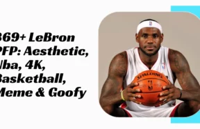 LeBron PFP