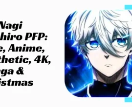 Nagi Seishiro PFP