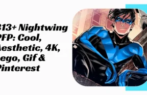 Nightwing PFP
