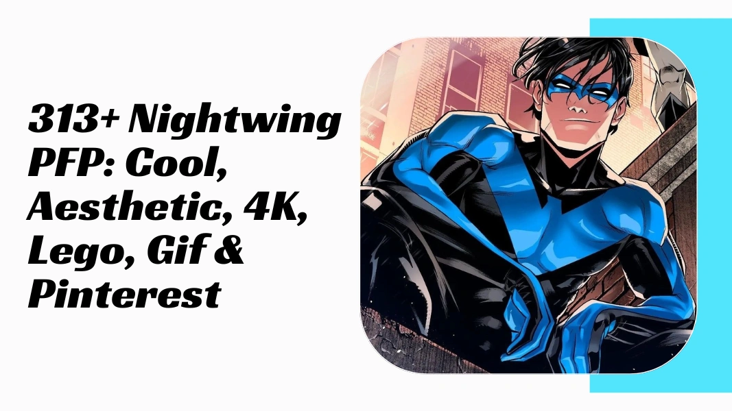 Nightwing PFP