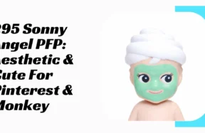 Sonny Angel PFP
