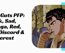 Guts PFP