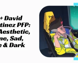 David Martinez PFP