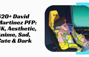 David Martinez PFP