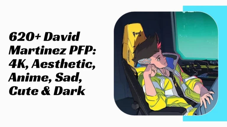 David Martinez PFP