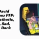 David Martinez PFP