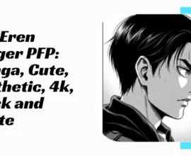 Eren Yeager PFP