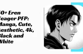 Eren Yeager PFP