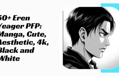 Eren Yeager PFP