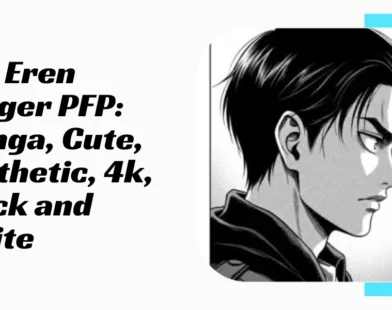 Eren Yeager PFP