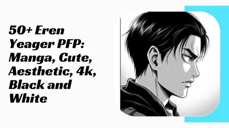 Eren Yeager PFP