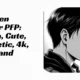 Eren Yeager PFP