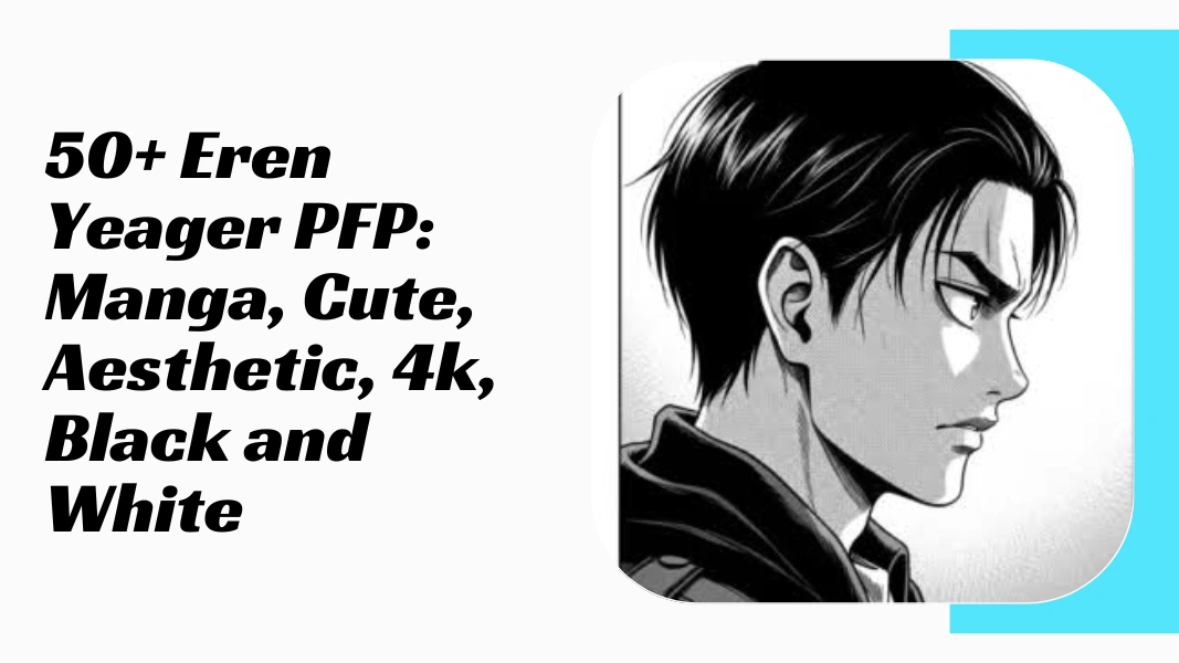 Eren Yeager PFP