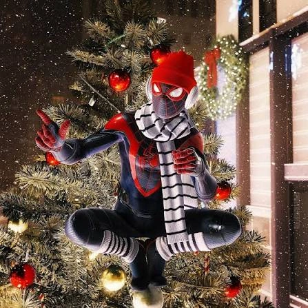 Miles Morales Pfp
