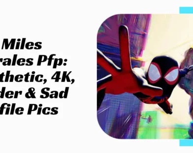 Miles Morales Pfp