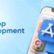 Top 10 Native iOS App Development Companies in Austin  80x80